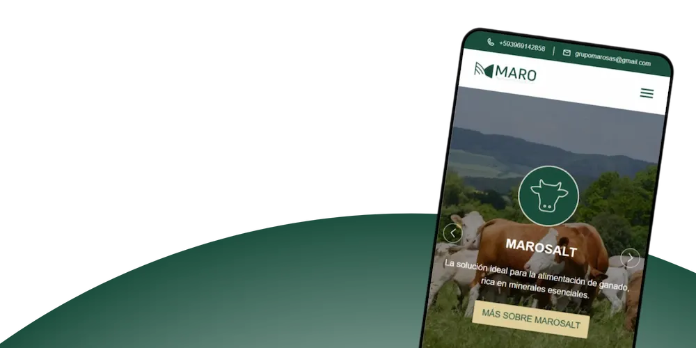 Captura del proyecto Grupo Maro